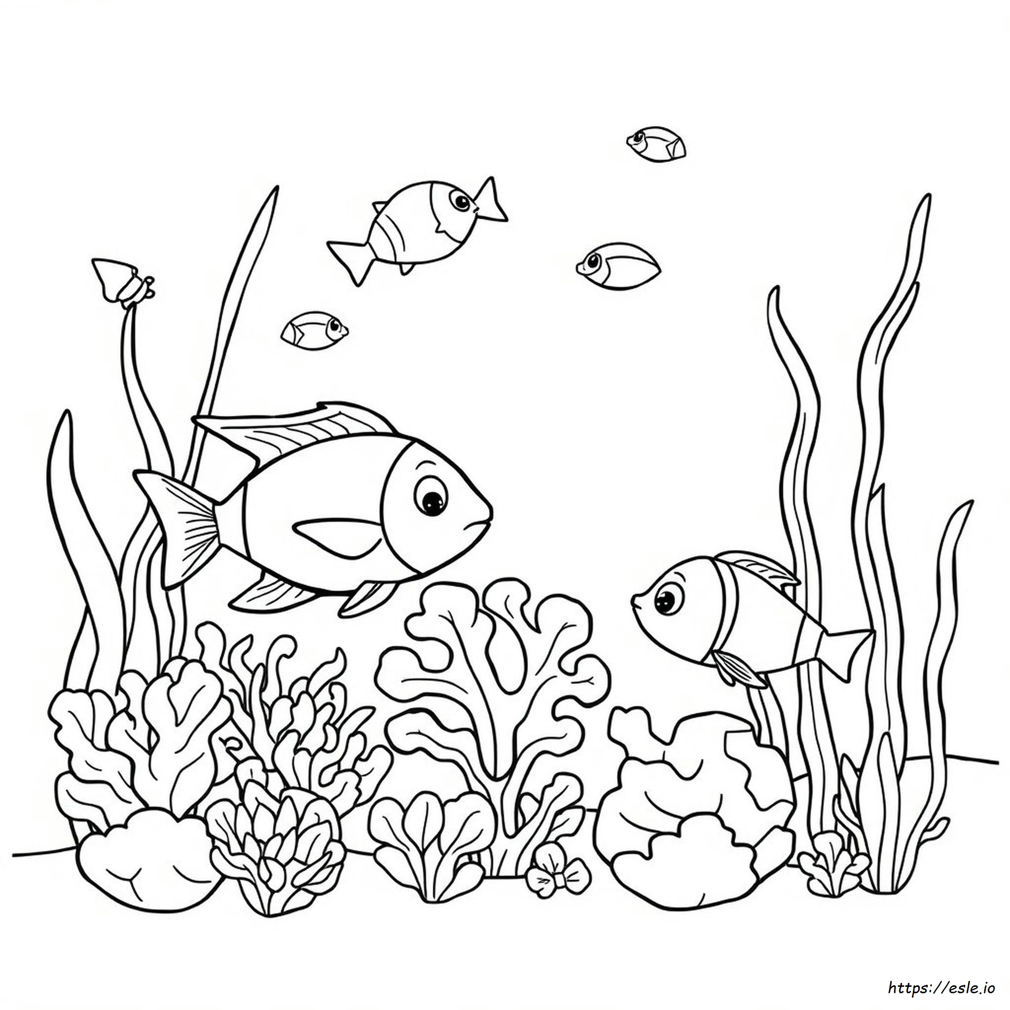 Sea Life Coloring Pages For Preschool