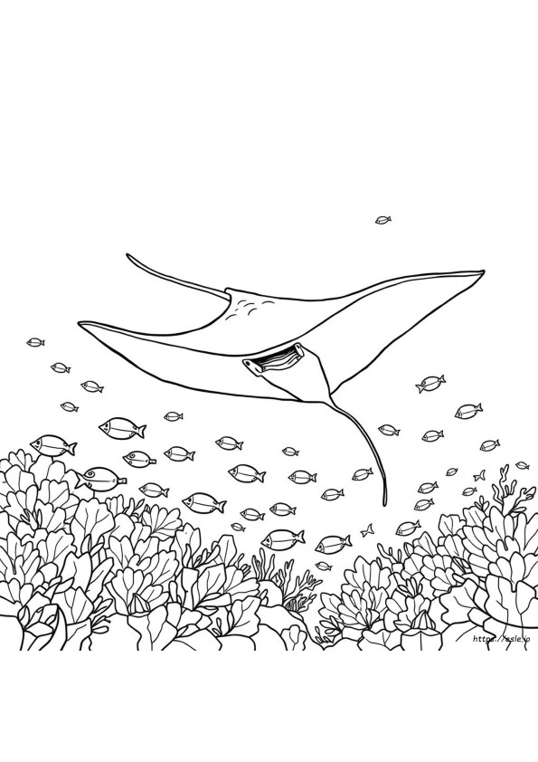 Mantarraya Para Colorear