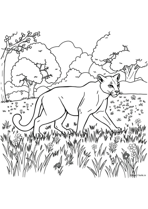 Coloriage Puma