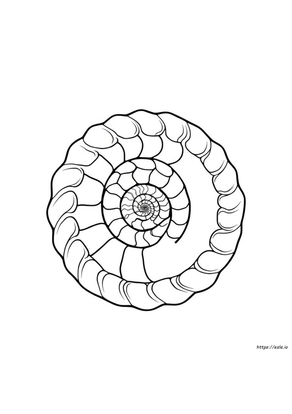 Fibonacci Sequence Coloring Pages