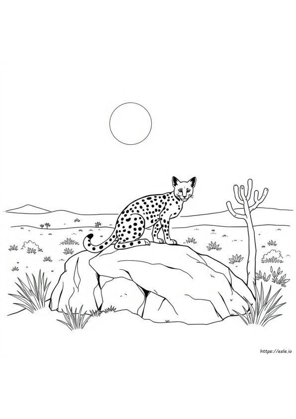 Serval Halaman Mewarnai