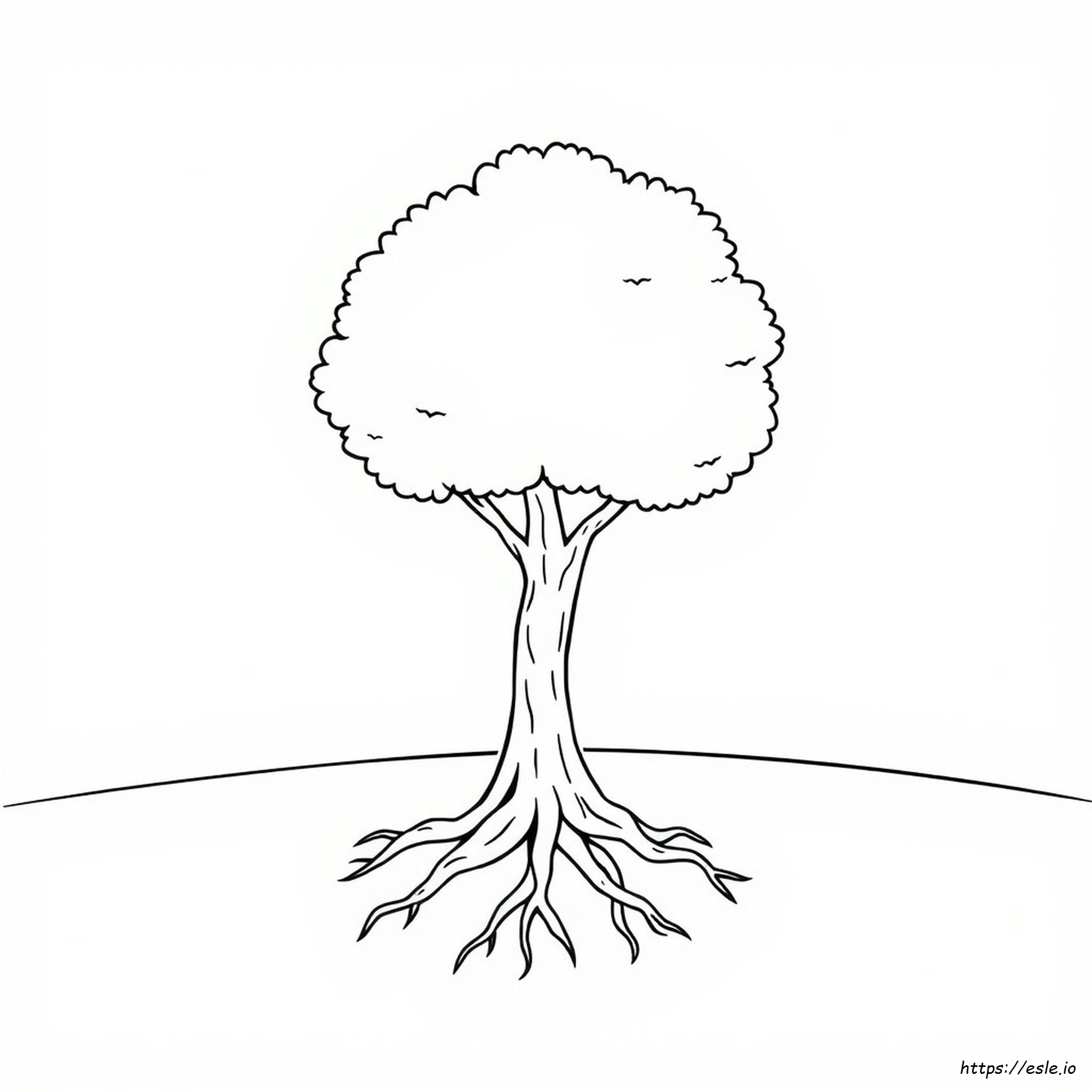 Tree Outline Images For Colouring