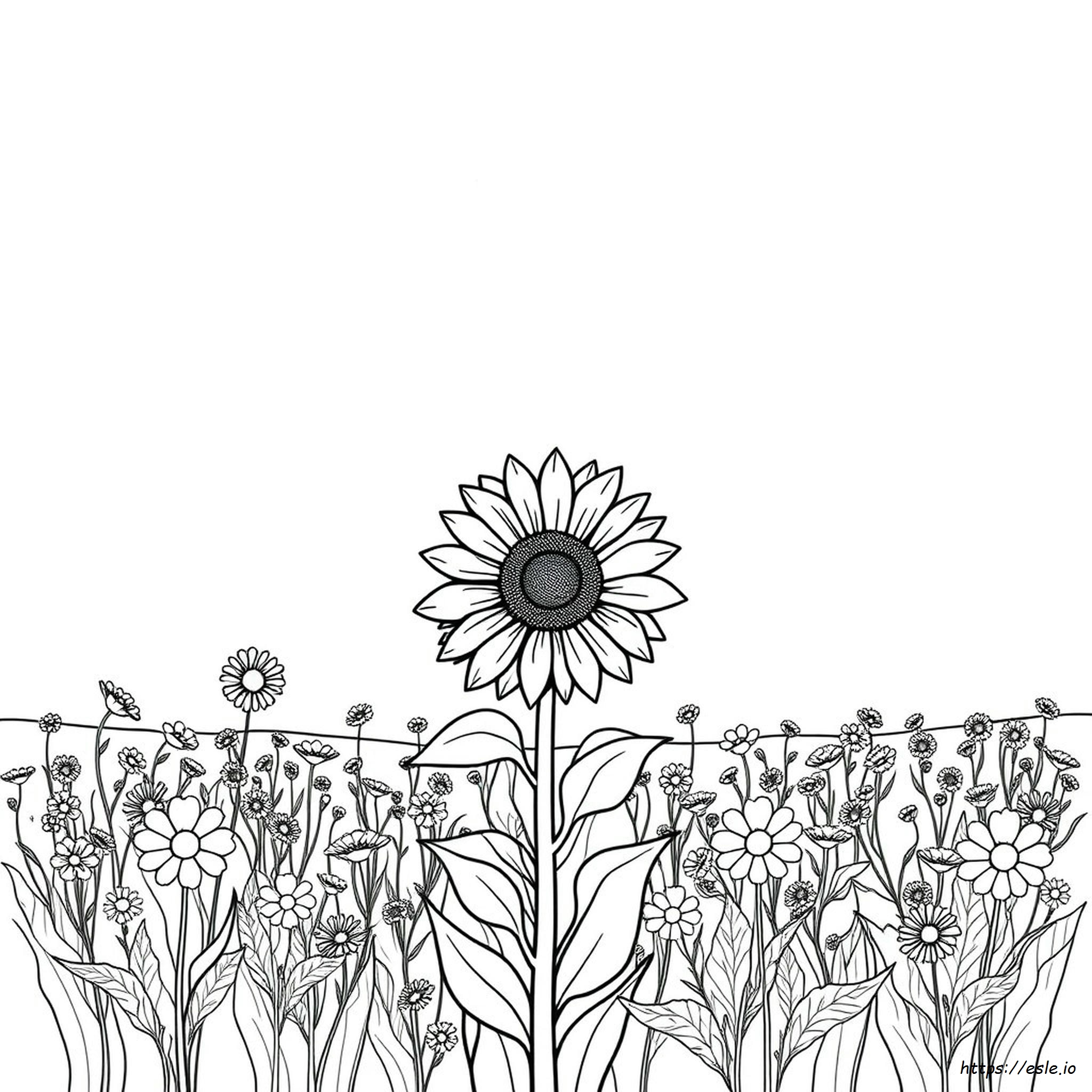 Sonnenblume Ausmalbilder