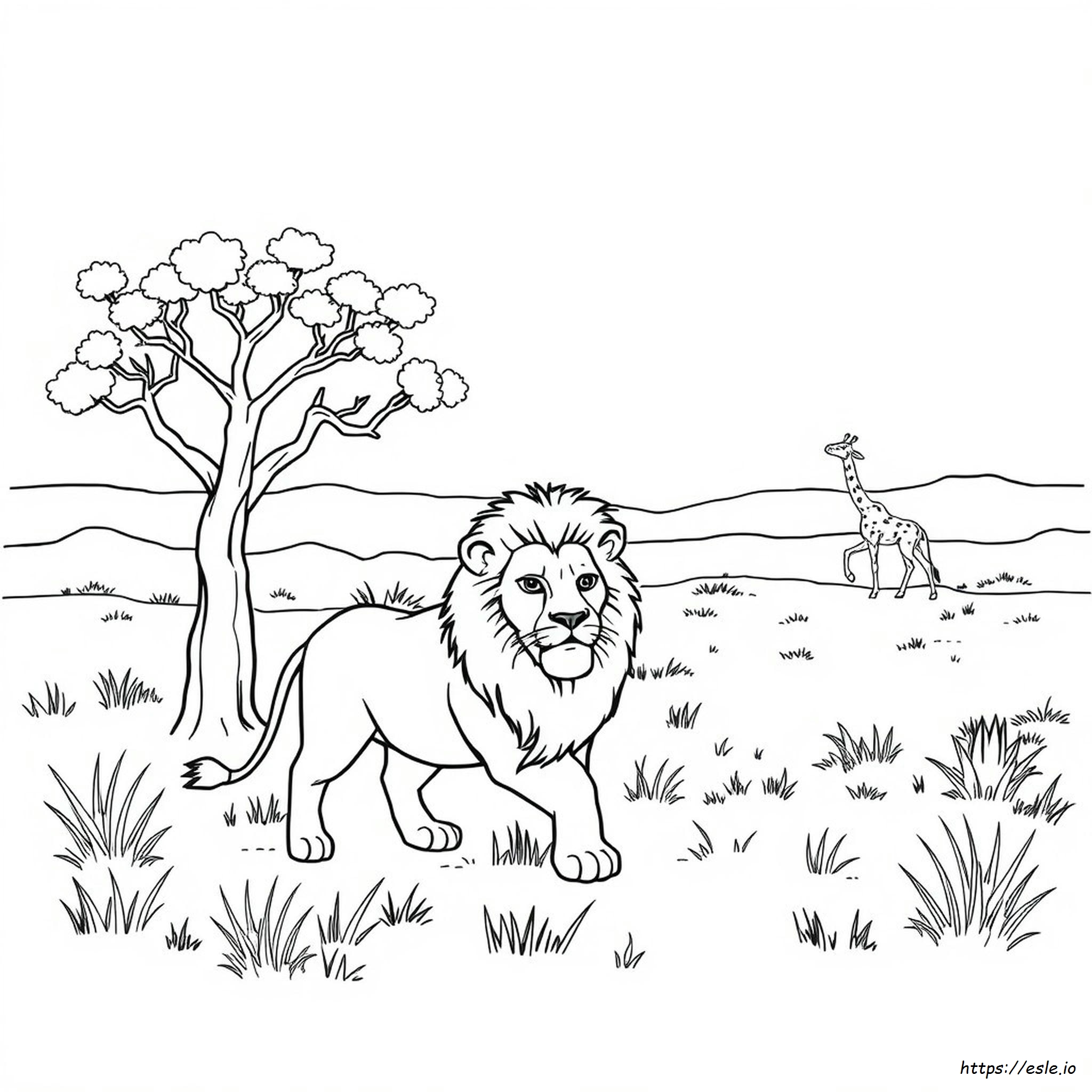 Sud Africa Da Colorare