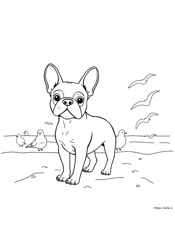 Páginas Para Colorear De Frenchie