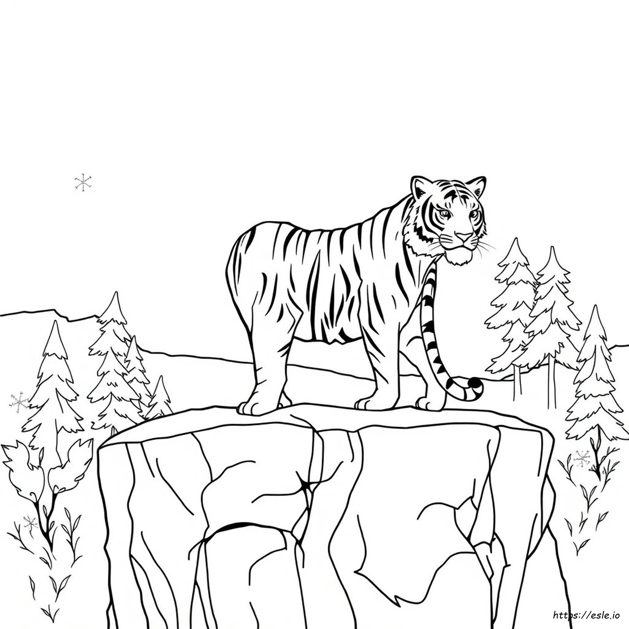 Coloring Pages Of White Tigers