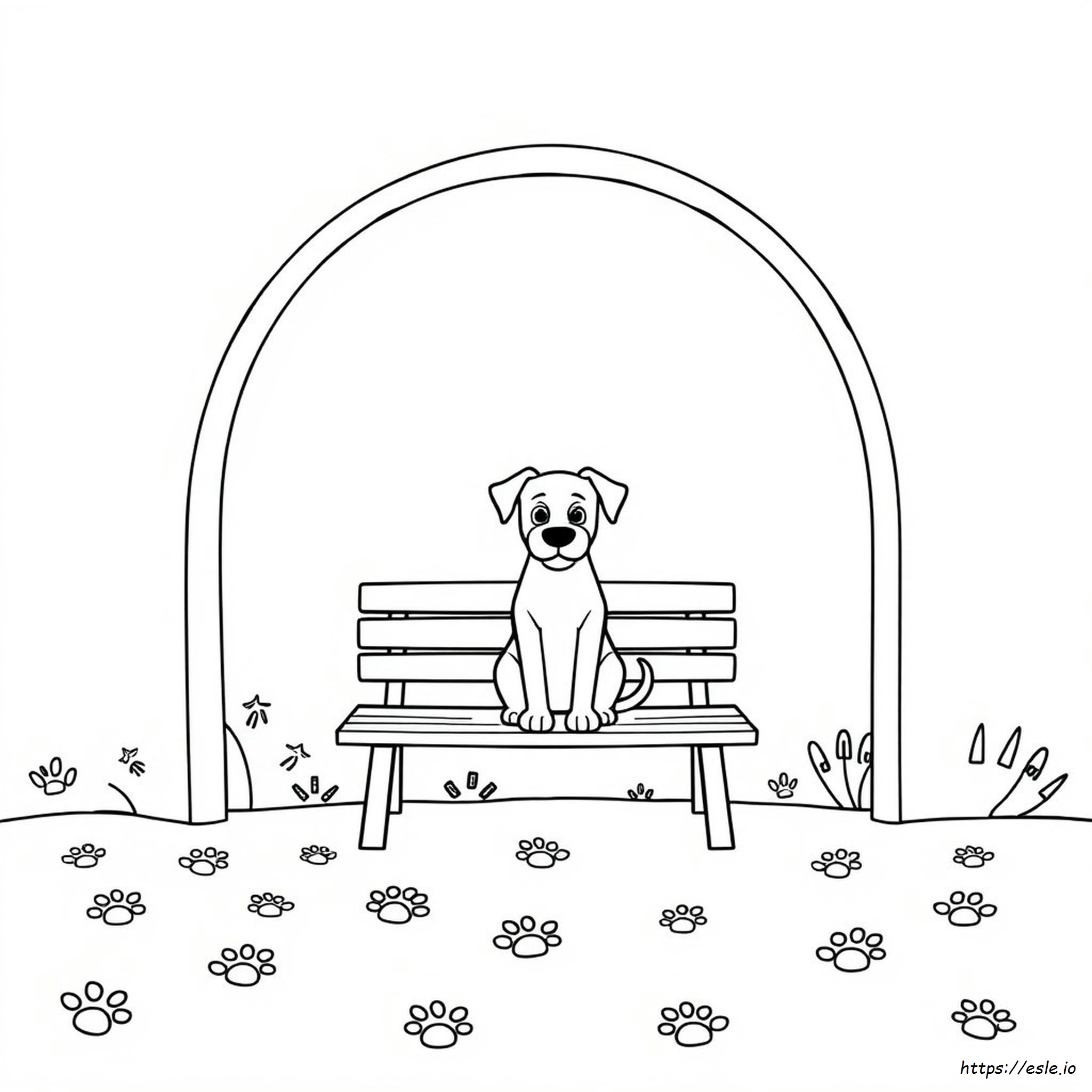 Dog Coloring Types
