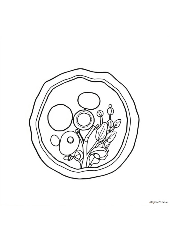 Cell Organelles Coloring Page
