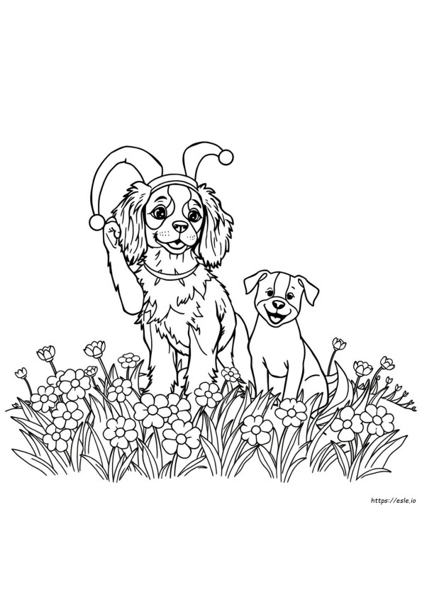 Gambar Mewarnai Cavalier