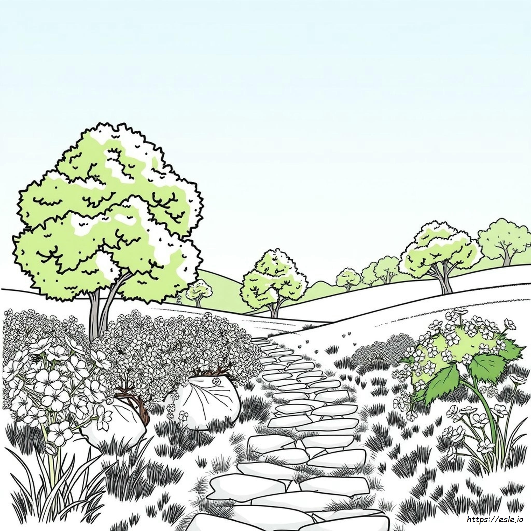 Natur Ausmalbilder Für Erwachsene