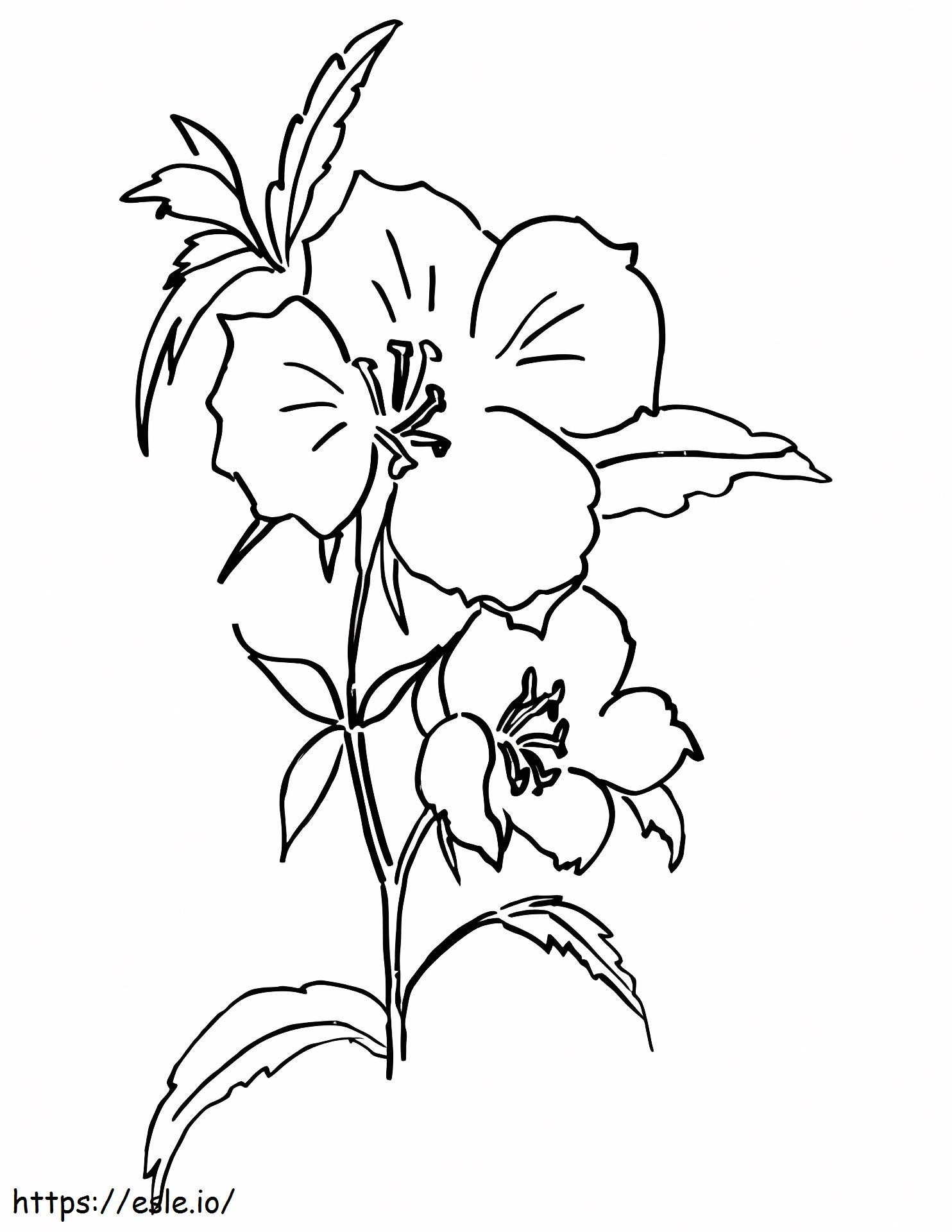 Farewell To Spring Or Godetia coloring page