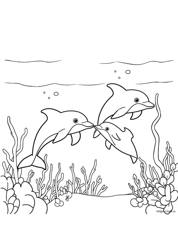 Coloriage Dauphin