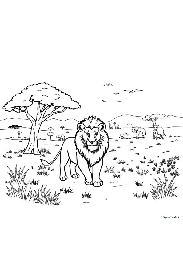 Safari Värityskuvat Aikuisille