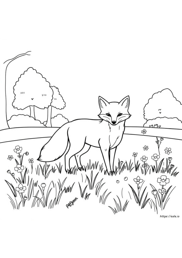 Raposa Para Colorir Para Imprimir