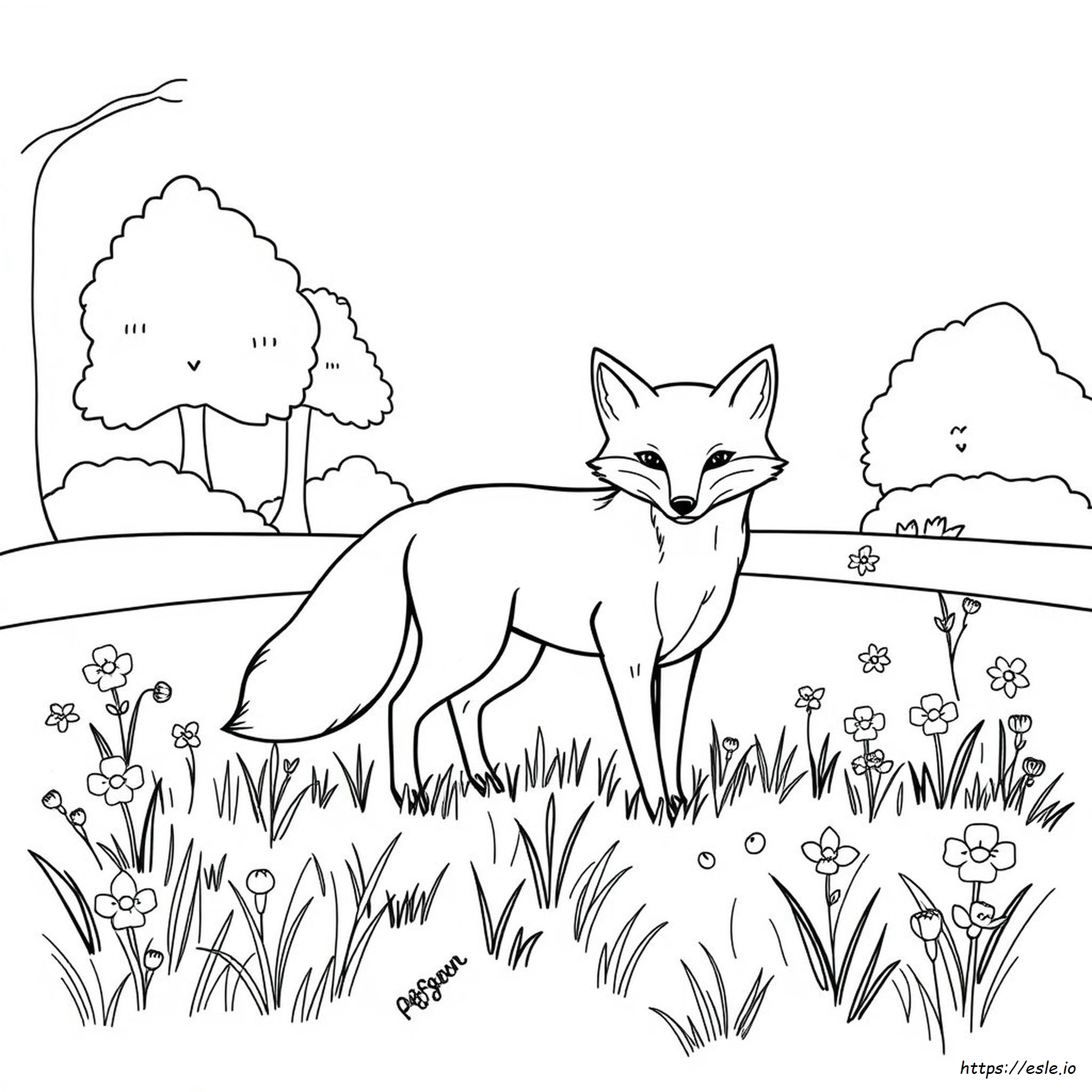 Fuchs Ausmalbilder Zum Ausdrucken