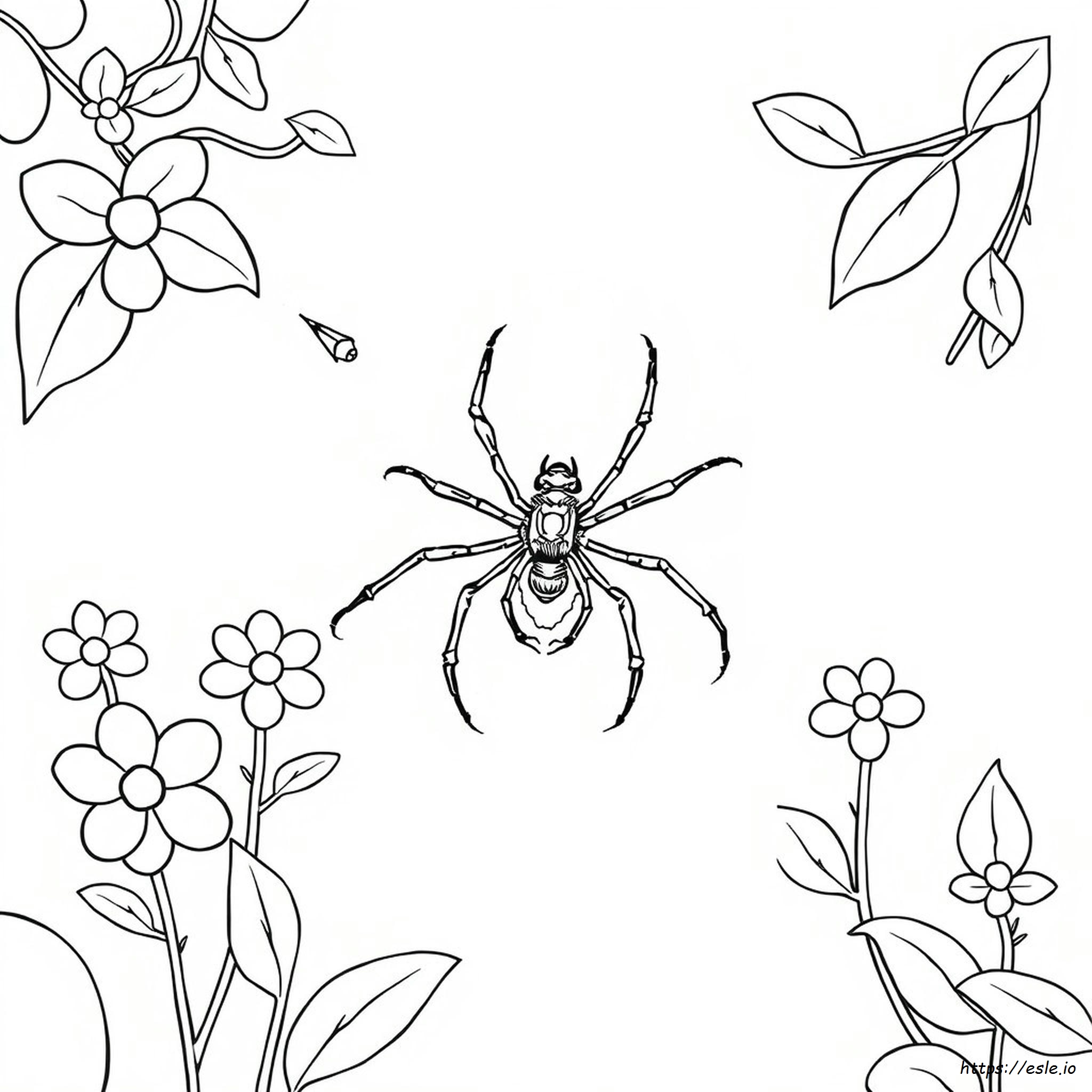 Black Widow Coloring Pages