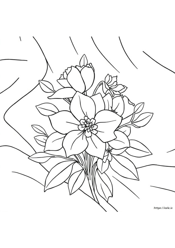 Velvet Coloring Sheets