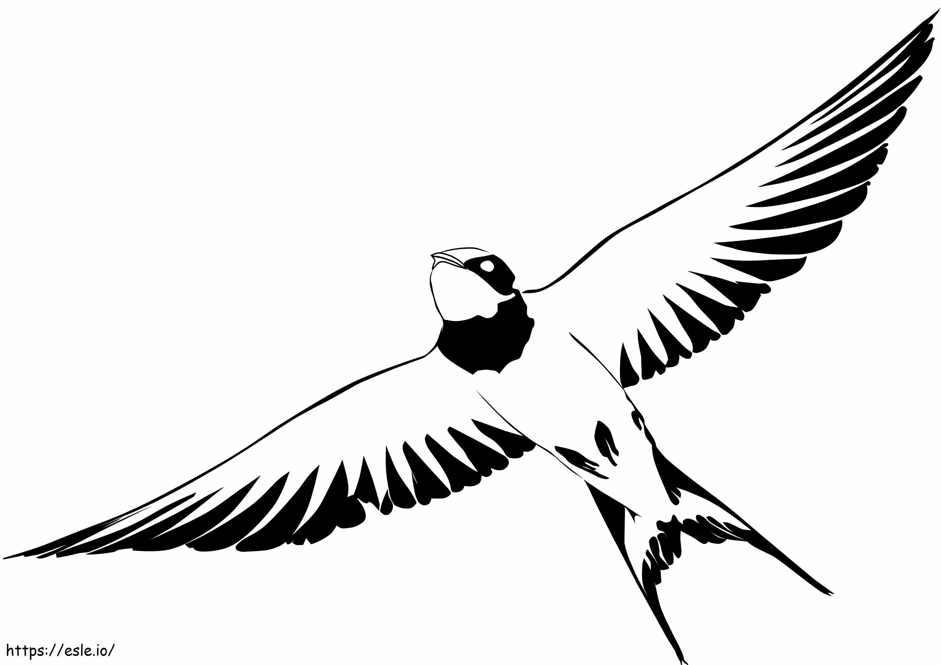 Normal Swallow coloring page