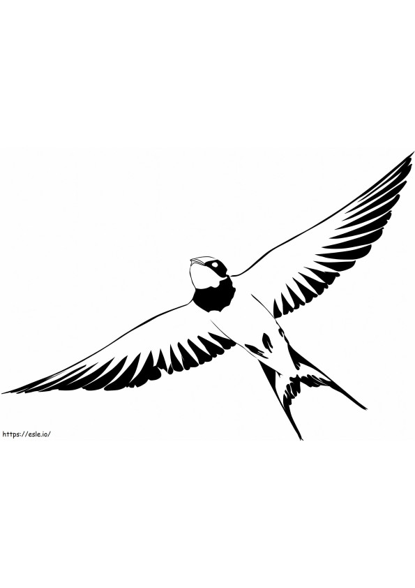 Normal Swallow coloring page