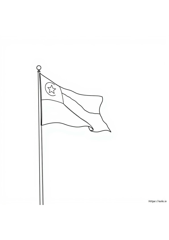 Bendera Colouring