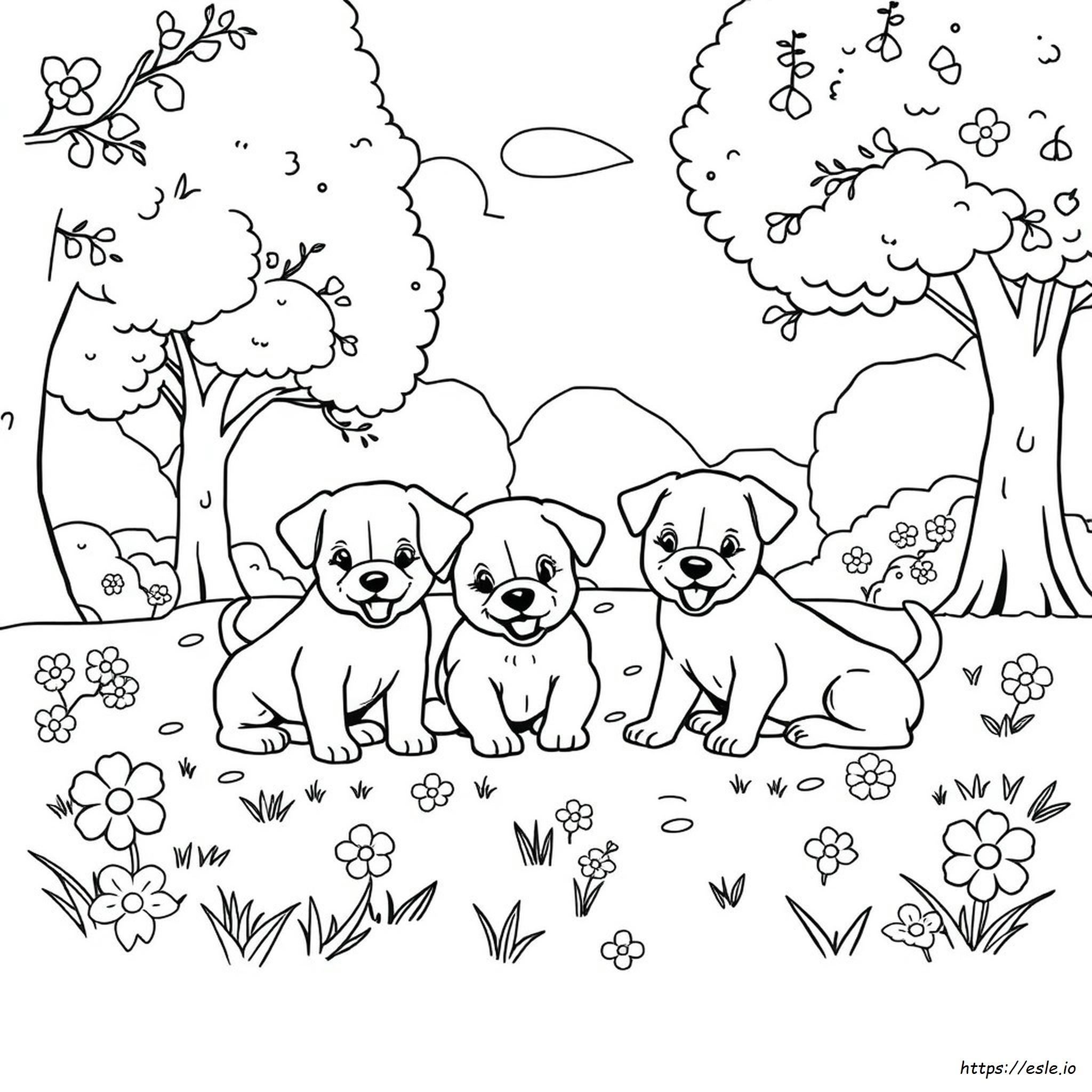 Patrula Catelusilor Disegni Da Colorare