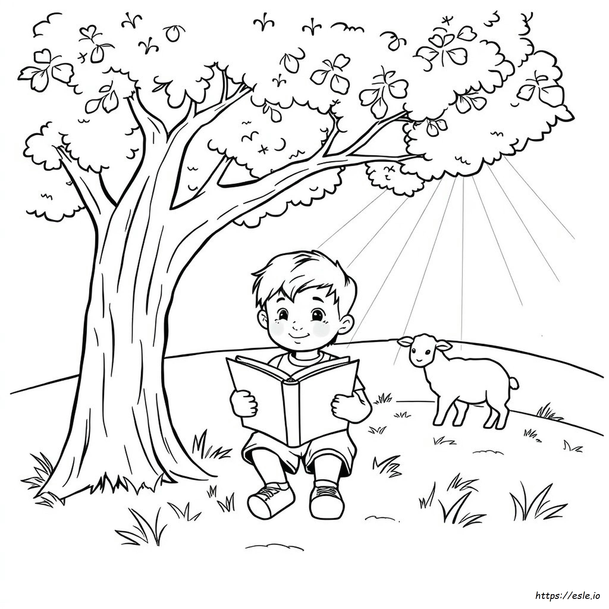 Disegni Da Colorare Di Storie Bibliche Per La Scuola Materna