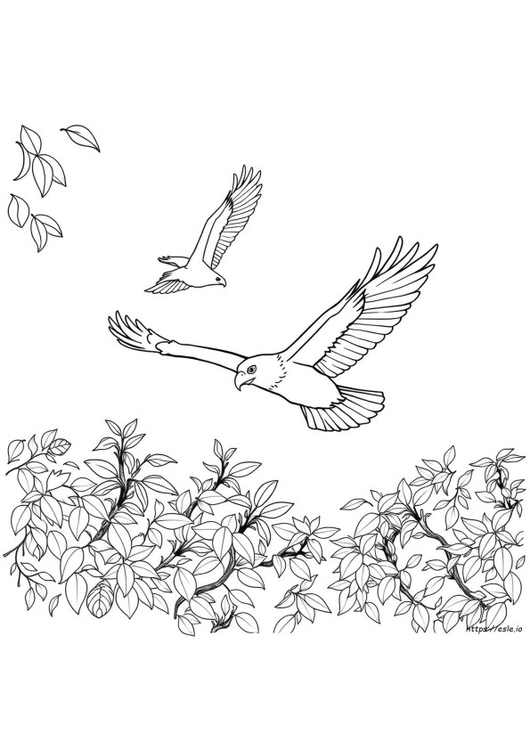 Kartal Boyama Sayfası