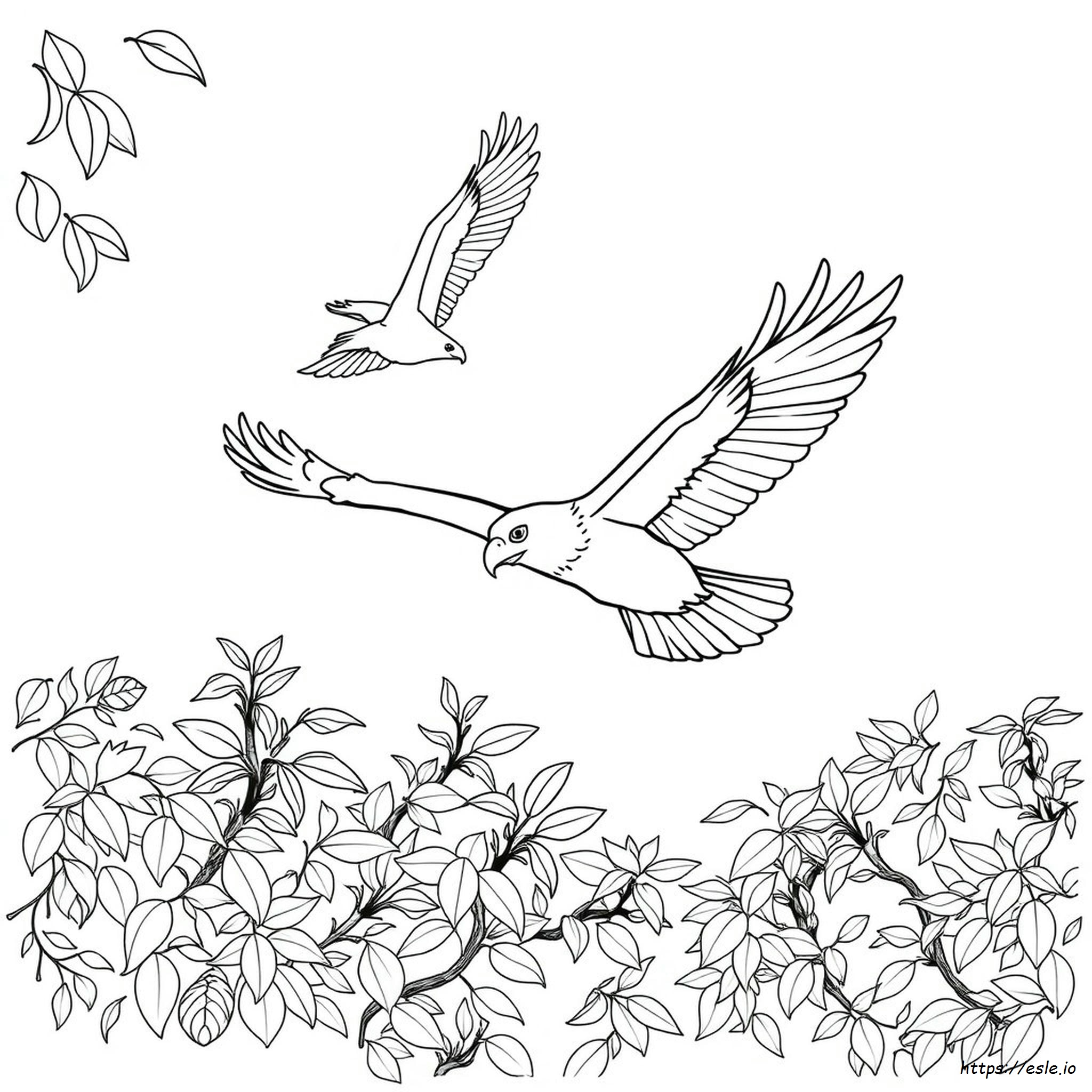 Coloring Page Of A Eagle