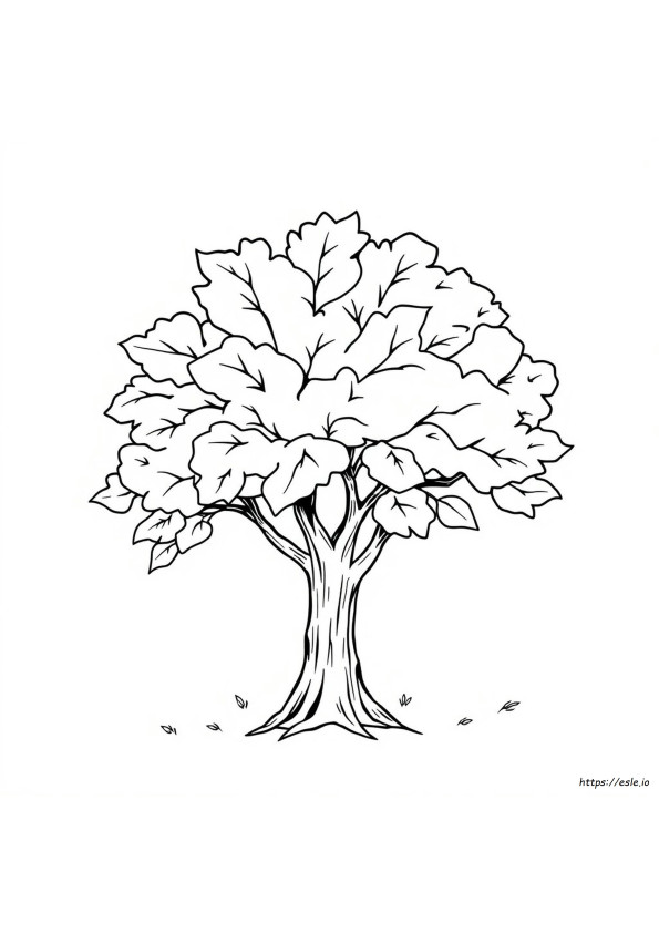 Leaf Coloring Pages For Preschool