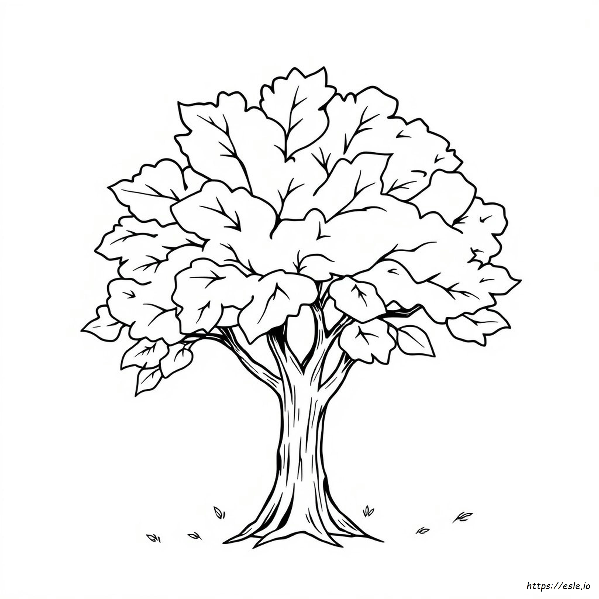 Leaf Coloring Pages For Preschool