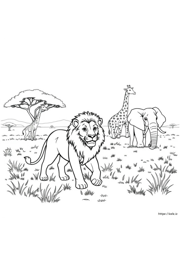 Desenhos Realistas De Animais Para Colorir