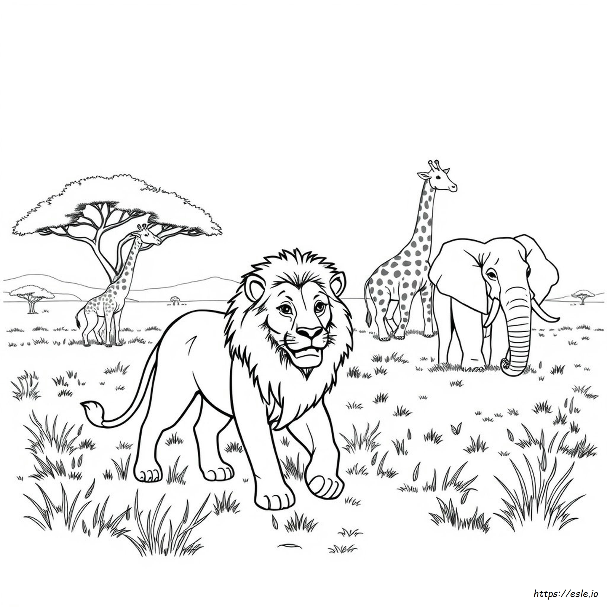 Disegni Realistici Di Animali Da Colorare