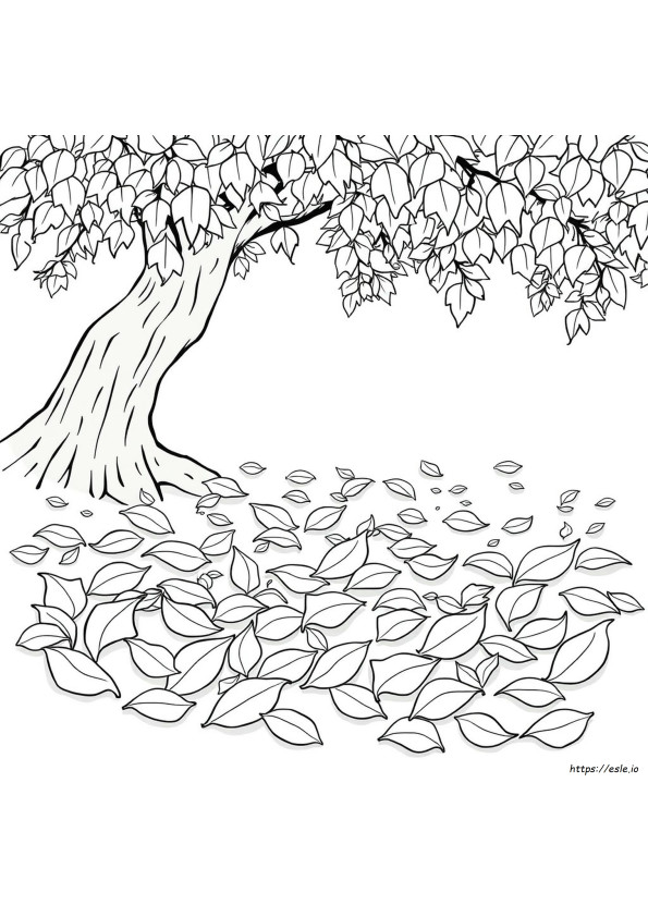 Leaves For Coloring