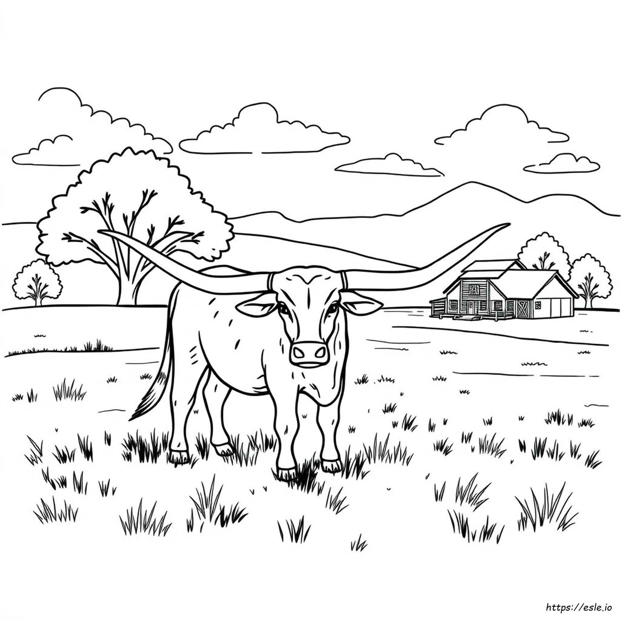 Pagina Da Colorare Ut Longhorn