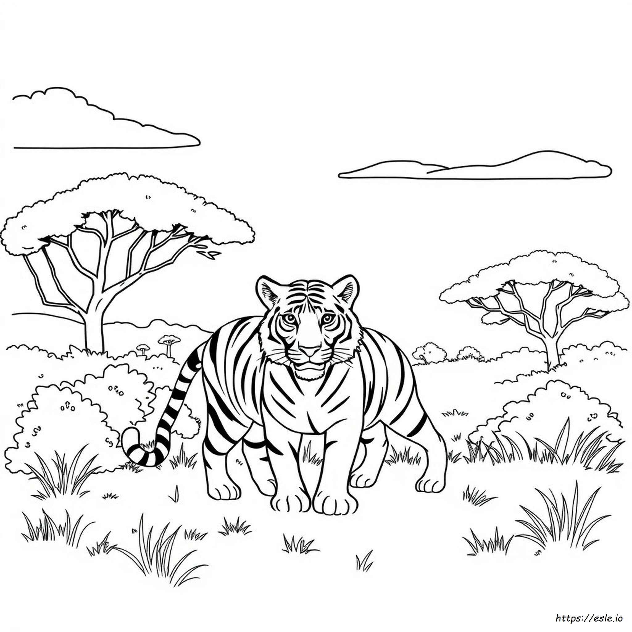 Tigris Körvonal Képek Színezéshez