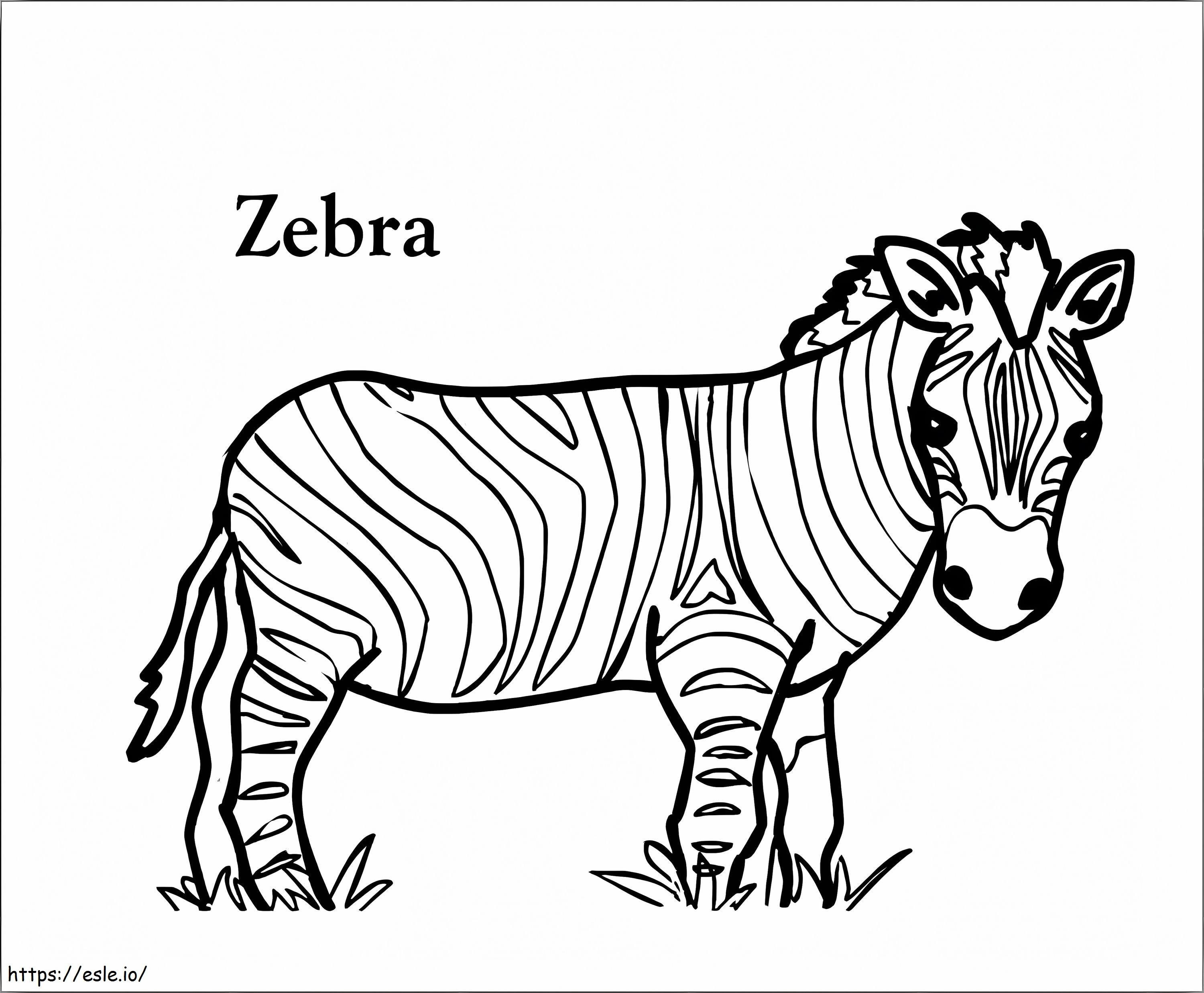 Süßes Zebra ausmalbilder