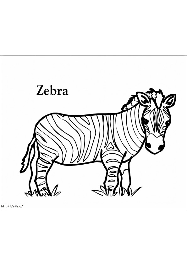 Zebra manis Gambar Mewarnai