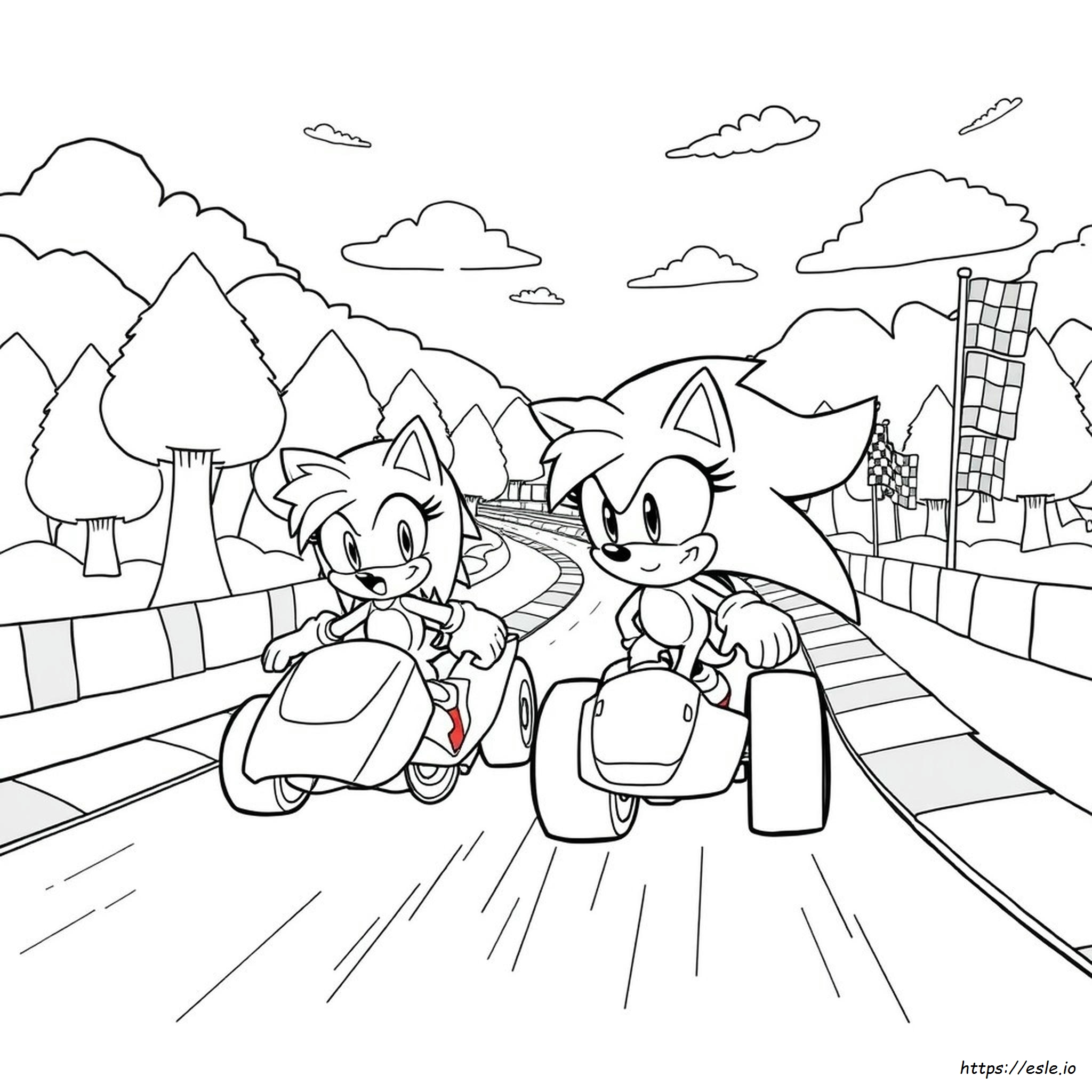 Amy Sonic The Hedgehog Disegni Da Colorare
