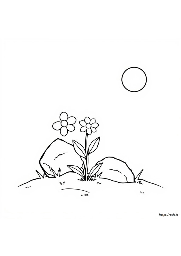 Mini Coloring Pictures