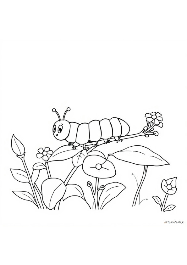 Disegni Da Colorare Bruchi