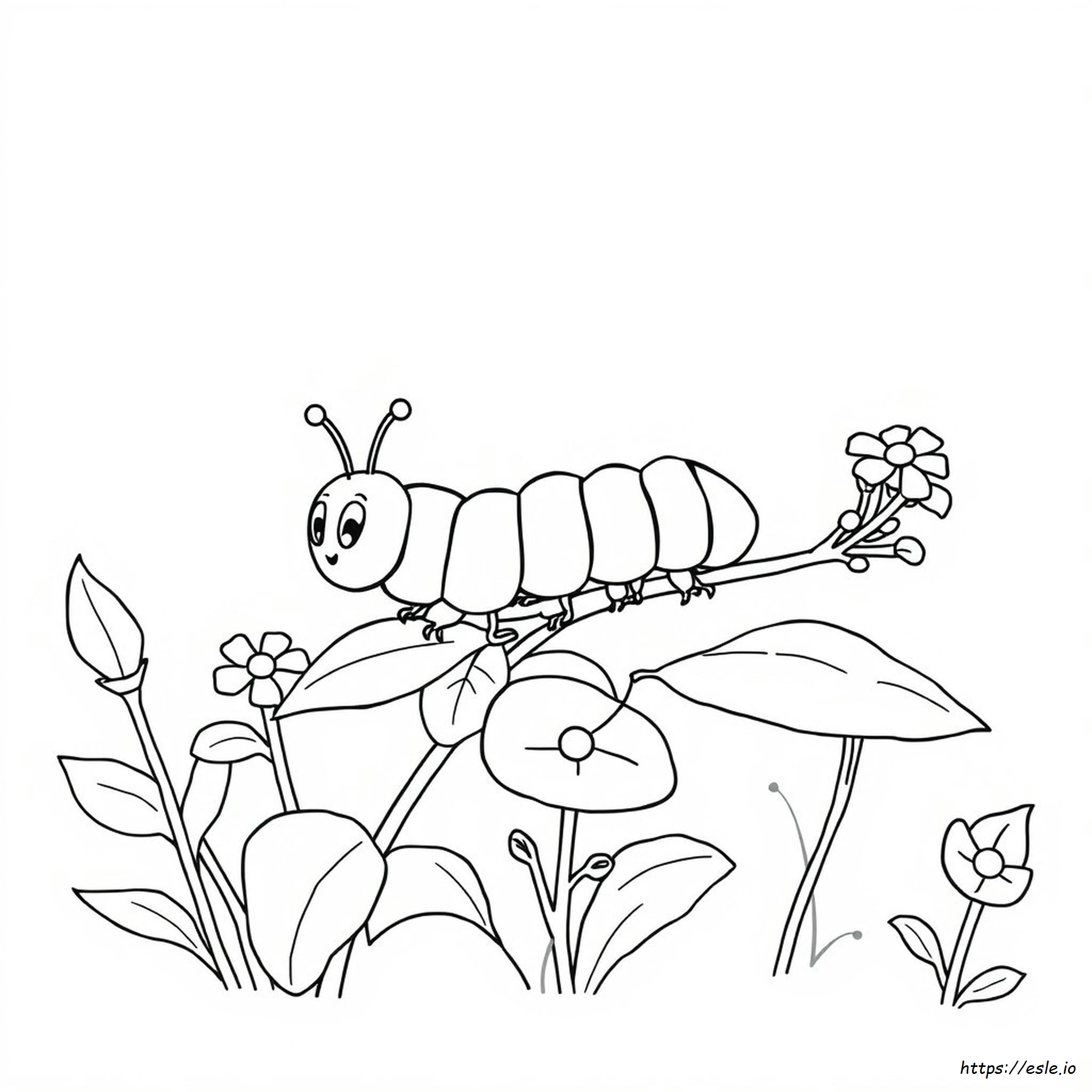 Disegni Da Colorare Bruchi