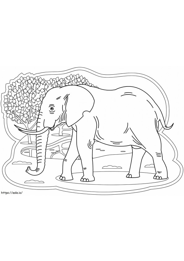 Elefant liber de colorat