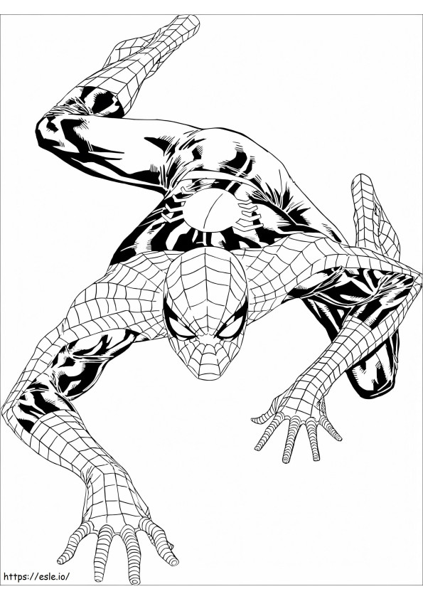 Cute Spider Man Climbing coloring page