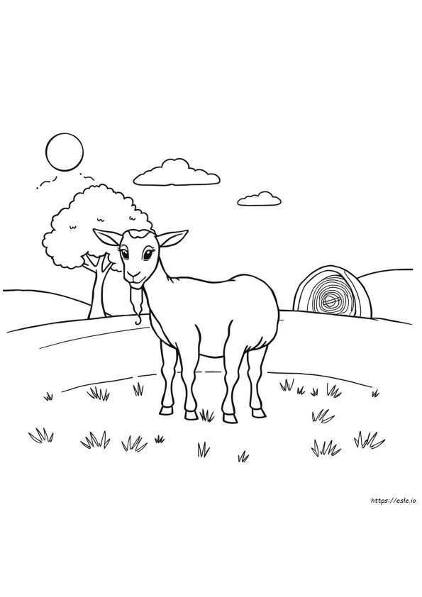 Goat Images For Colouring
