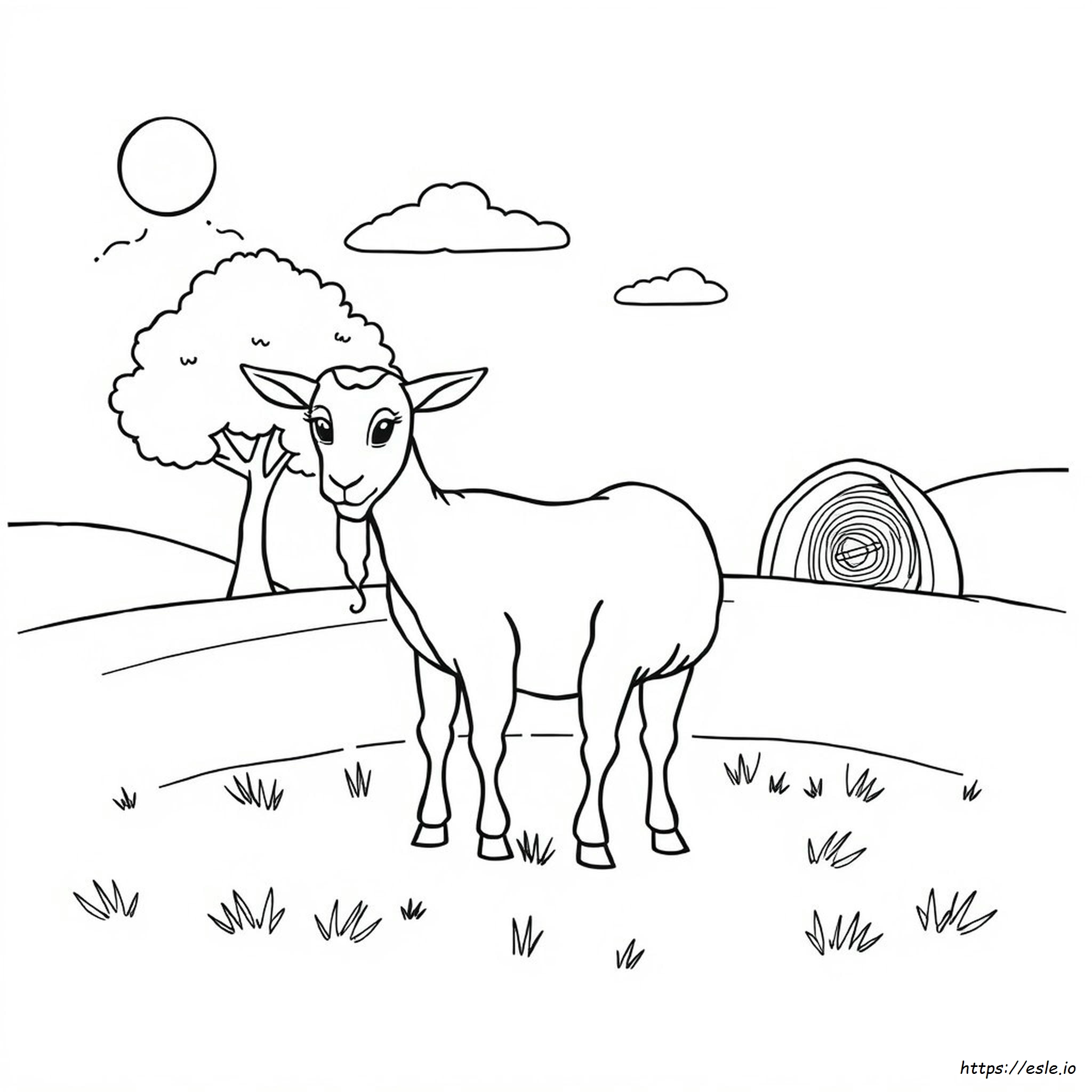 Goat Images For Colouring