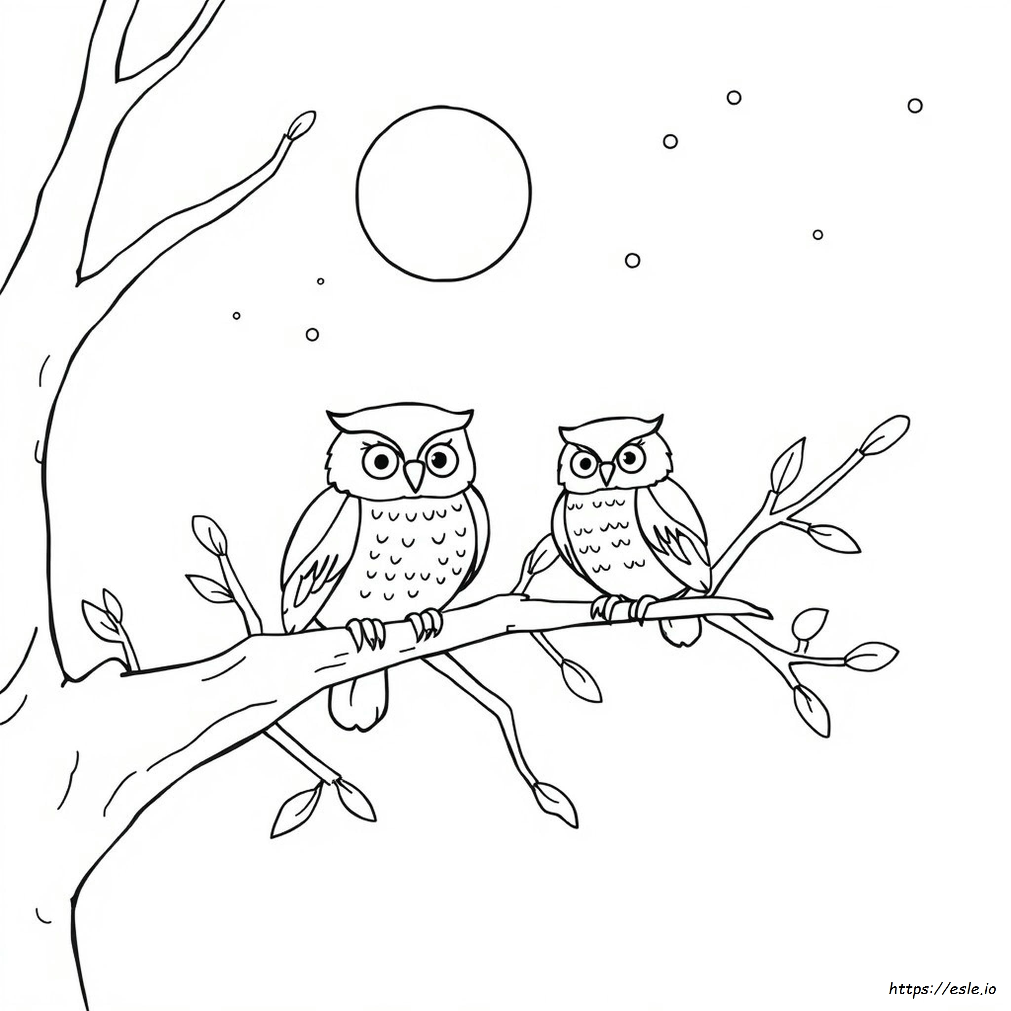 Coloring Pages Of A Owl