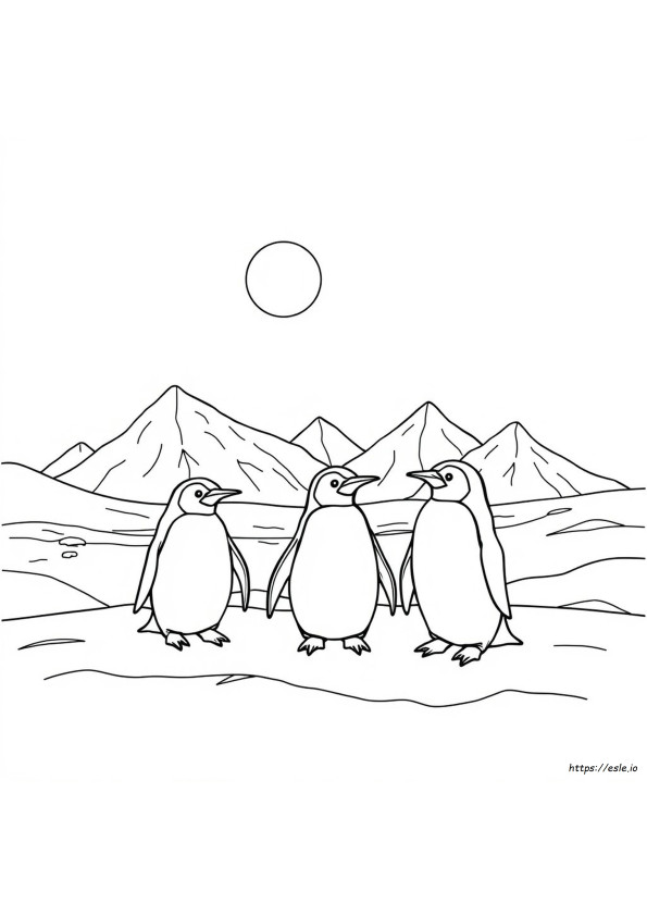 Antarctica Colouring Pages