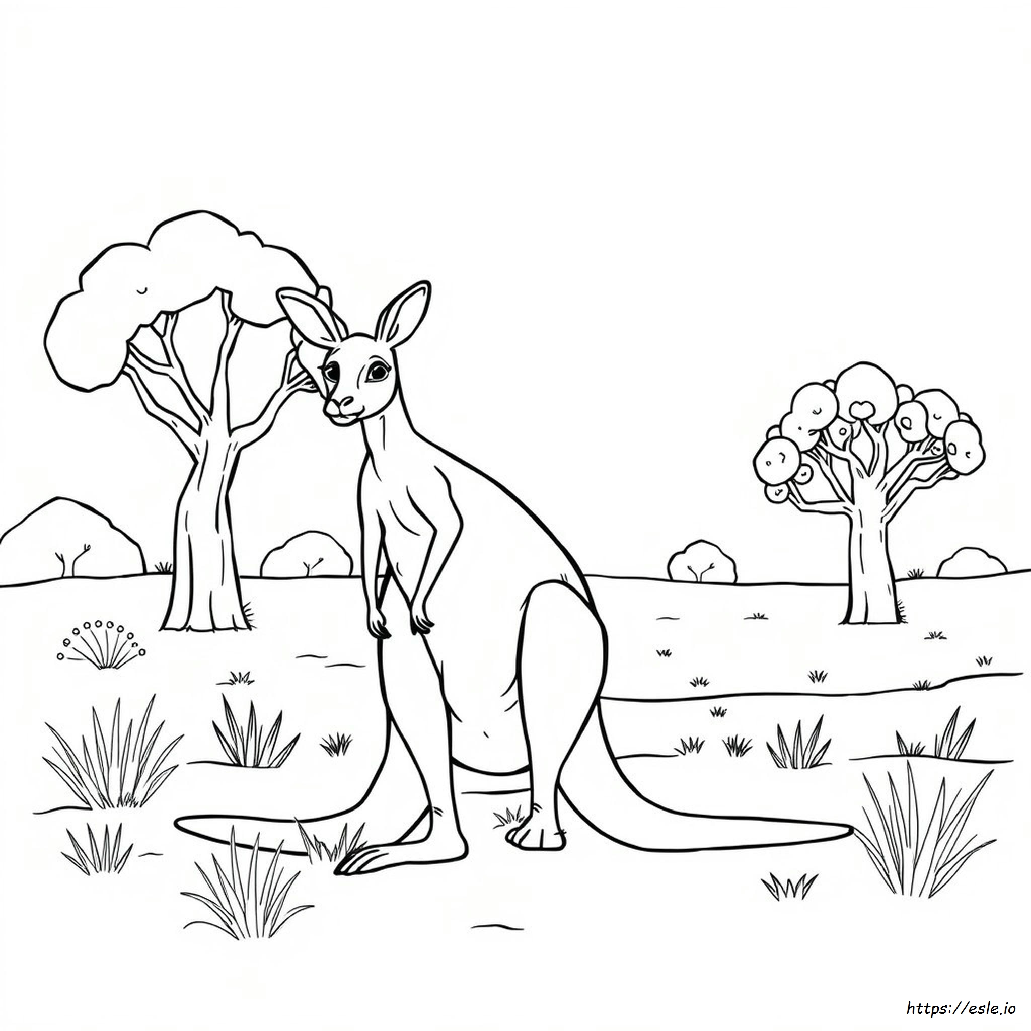 Animali Aborigeni Da Colorare E Stampare