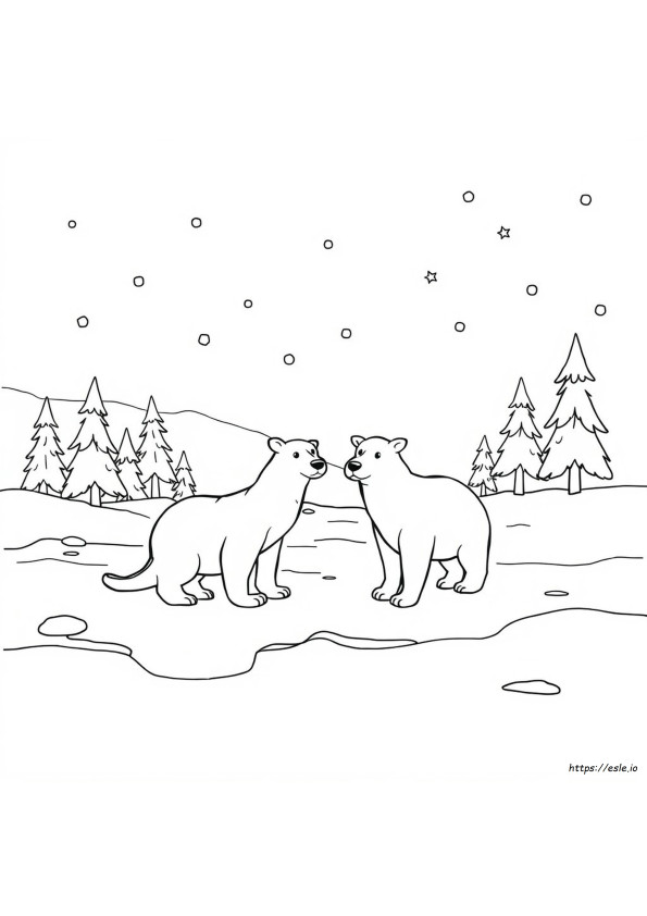 Animais Árticos Para Colorir Grátis