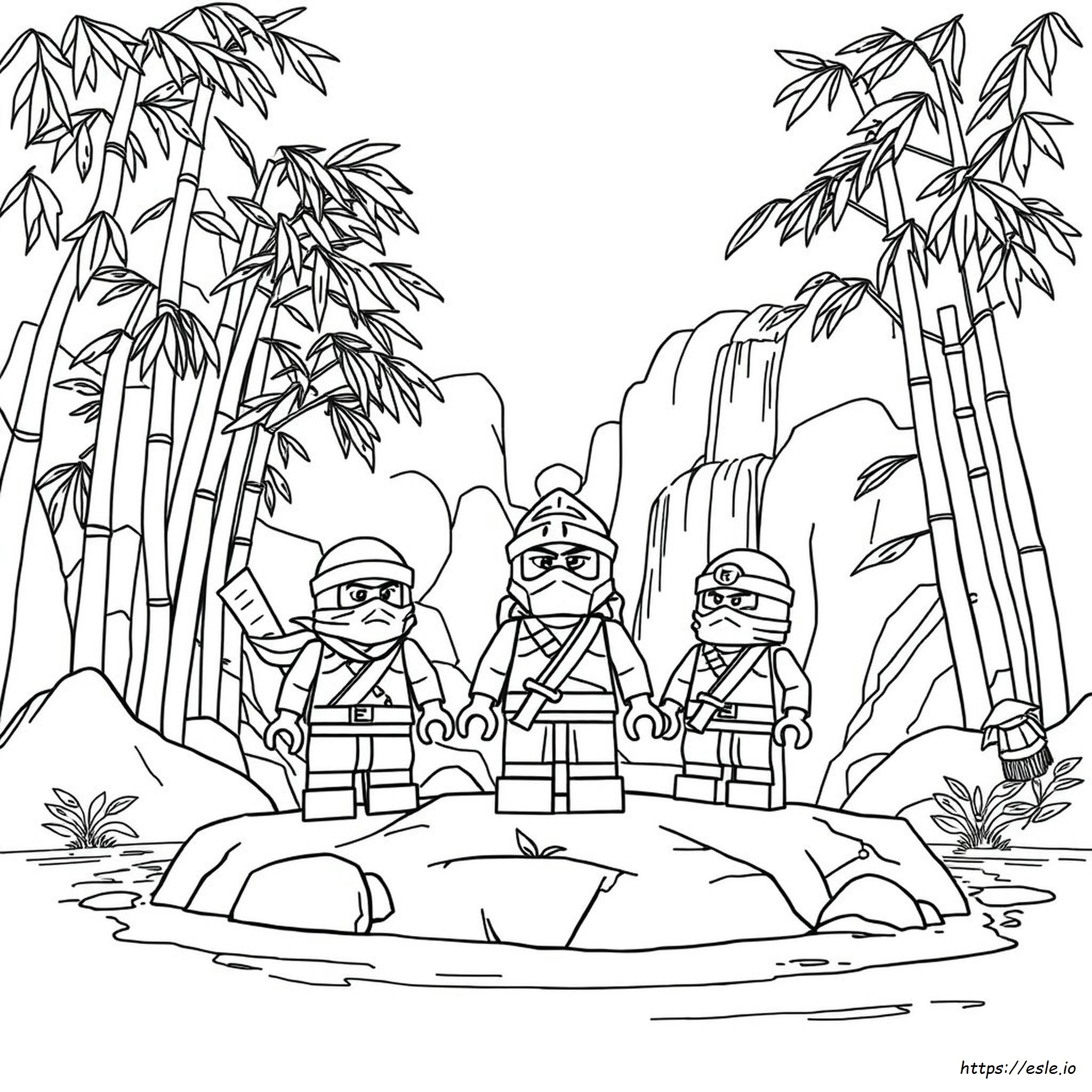 Ninjago Coloring Picture